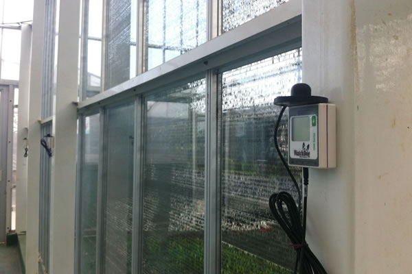 Spectrum 1450植物生長(zhǎng)微型氣象站Agripheno玉米溫室應(yīng)用實(shí)例3.jpg Spectrum 1450植物生長(zhǎng)微型氣象站Agripheno玉米溫室應(yīng)用實(shí)例3.jpg