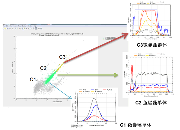 CytoSense藻類在線系統(tǒng)120h高頻次無故障運(yùn)行實驗效果圖.gif CytoSense藻類在線系統(tǒng)120h高頻次無故障運(yùn)行實驗效果圖.gif