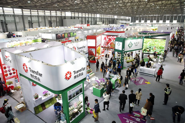 第十九屆中國國際花卉園藝展覽會(huì)1.jpg 第十九屆中國國際花卉園藝展覽會(huì)1.jpg