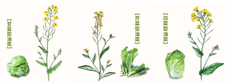圖125021704.jpg