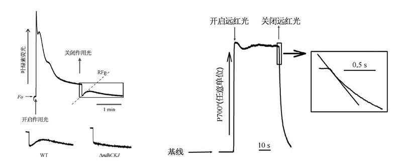 圖525022801.jpg 圖525022801.jpg